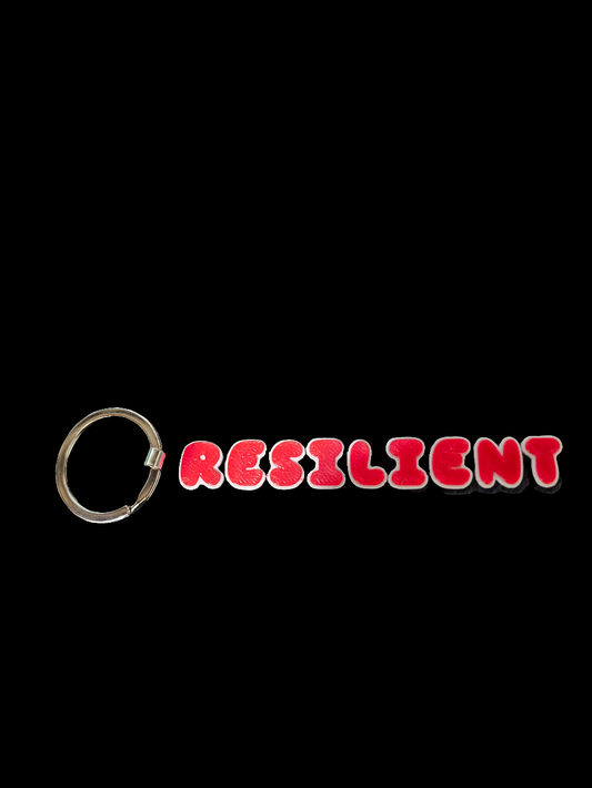 Resilient Keychain